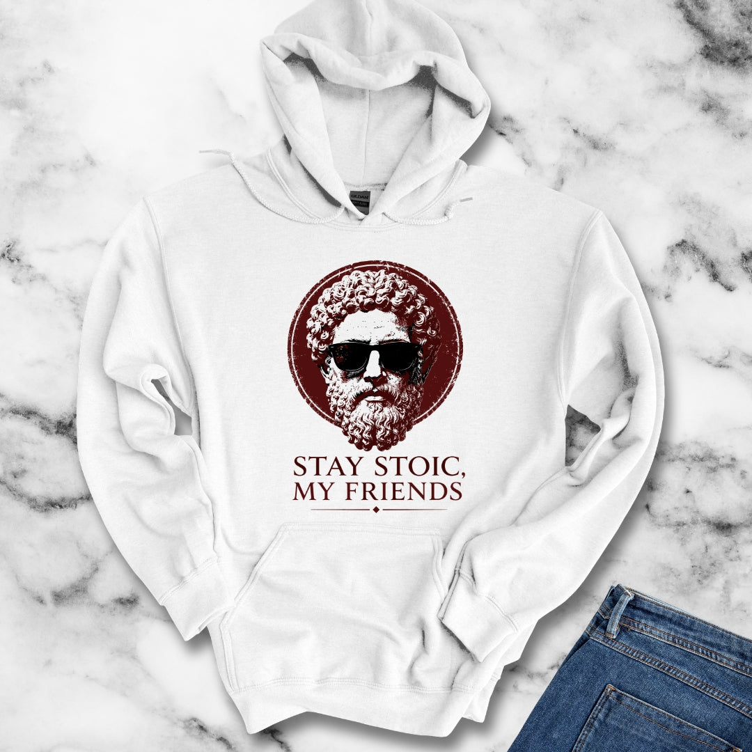 Aurelius Stay Stoic My Friends Hoodie