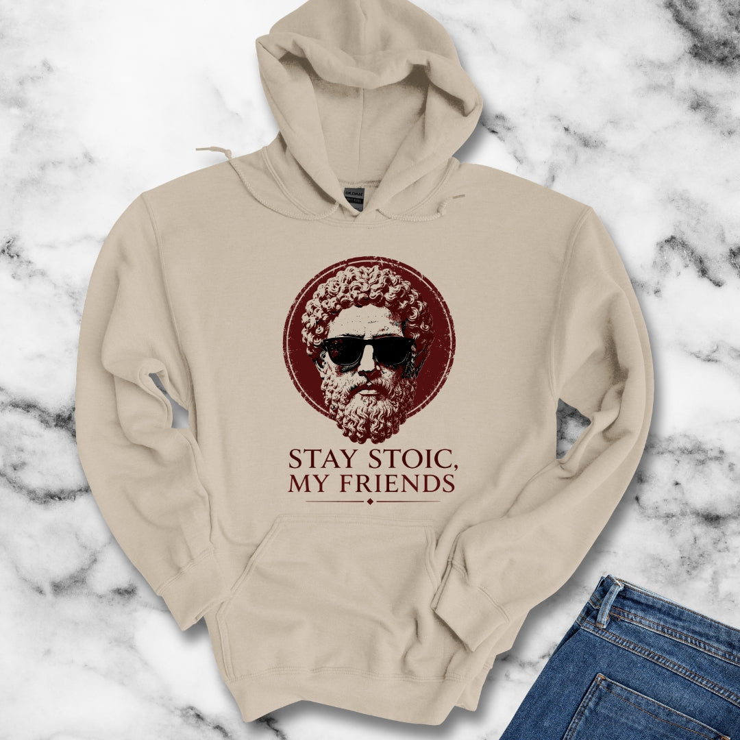 Aurelius Stay Stoic My Friends Hoodie