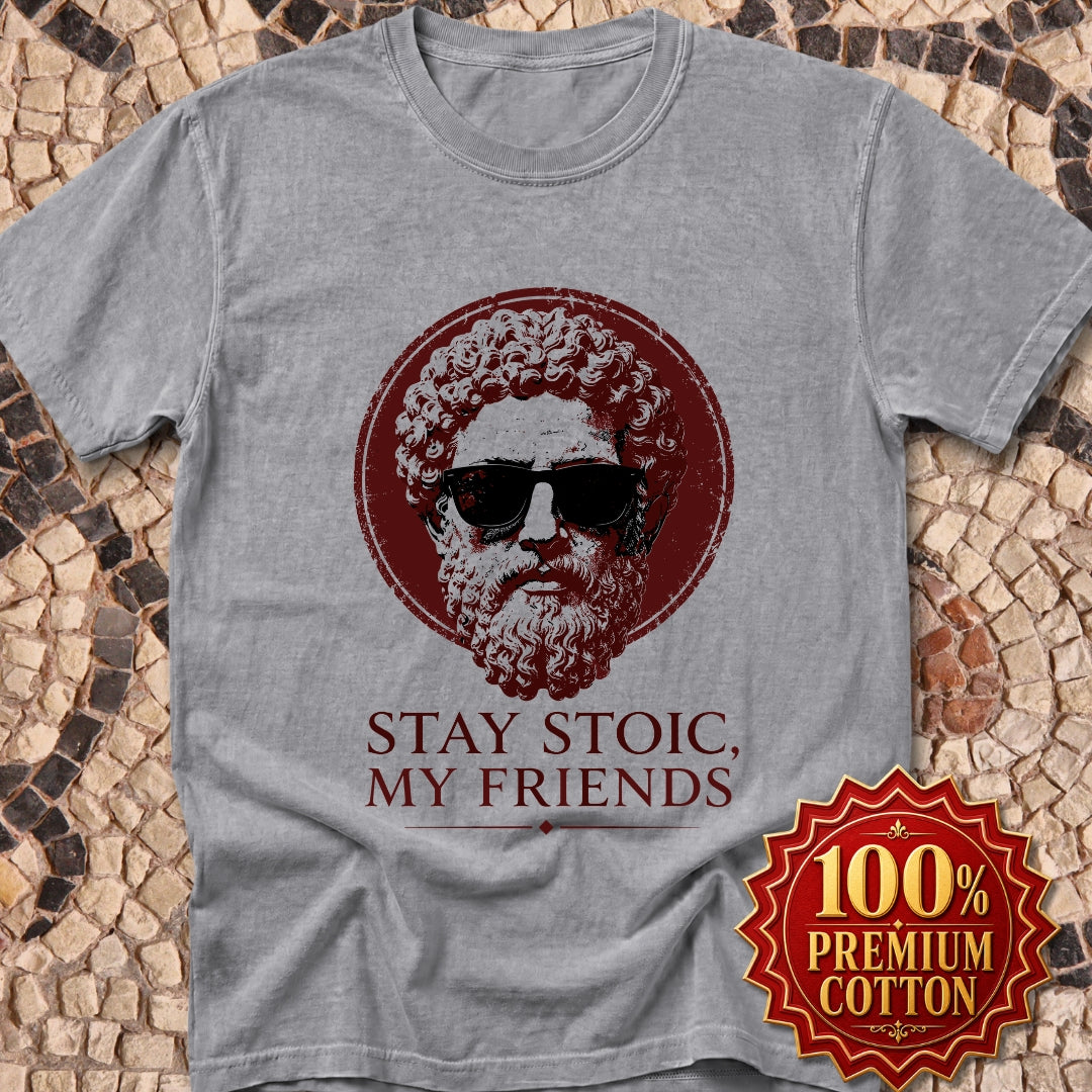 Aurelius Stay Stoic My Friends Premium Tee