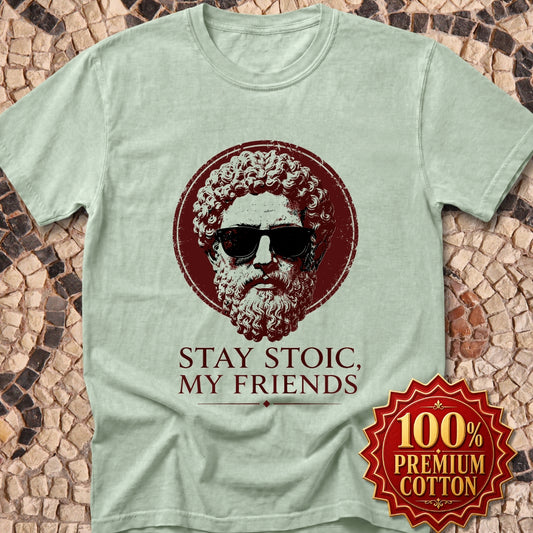 Aurelius Stay Stoic My Friends Premium Tee
