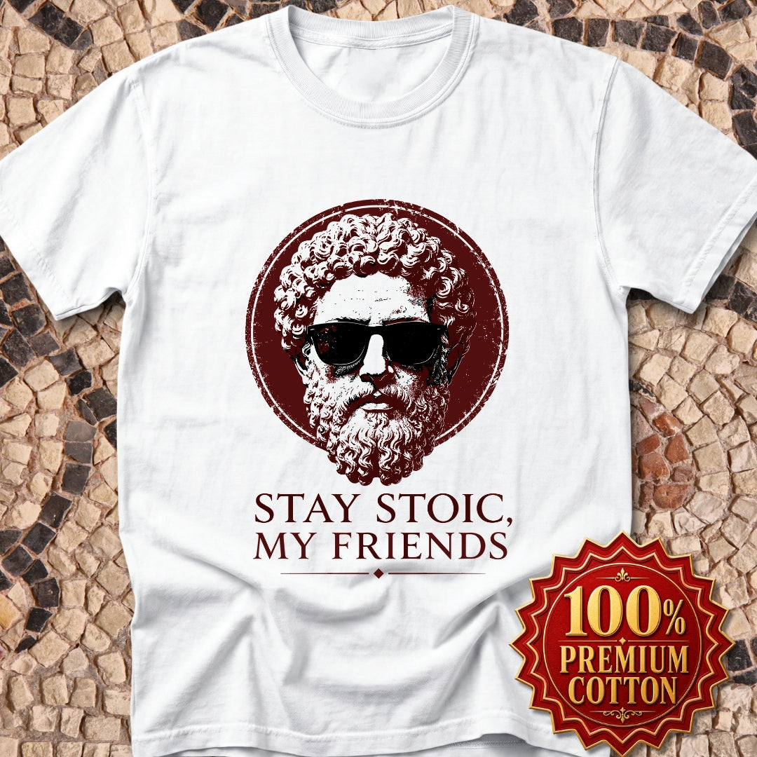 Aurelius Stay Stoic My Friends Premium Tee