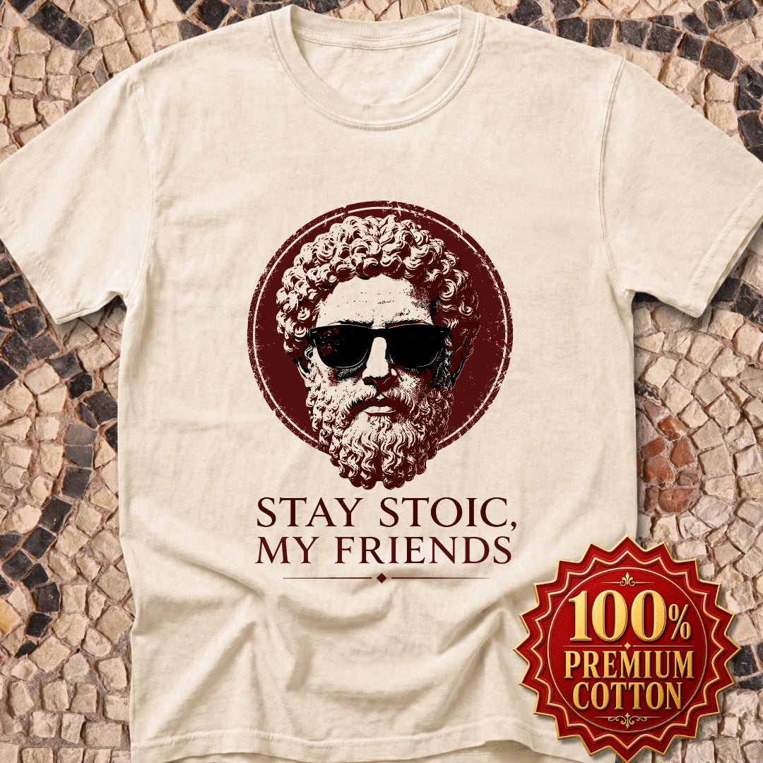 Aurelius Stay Stoic My Friends Premium Tee