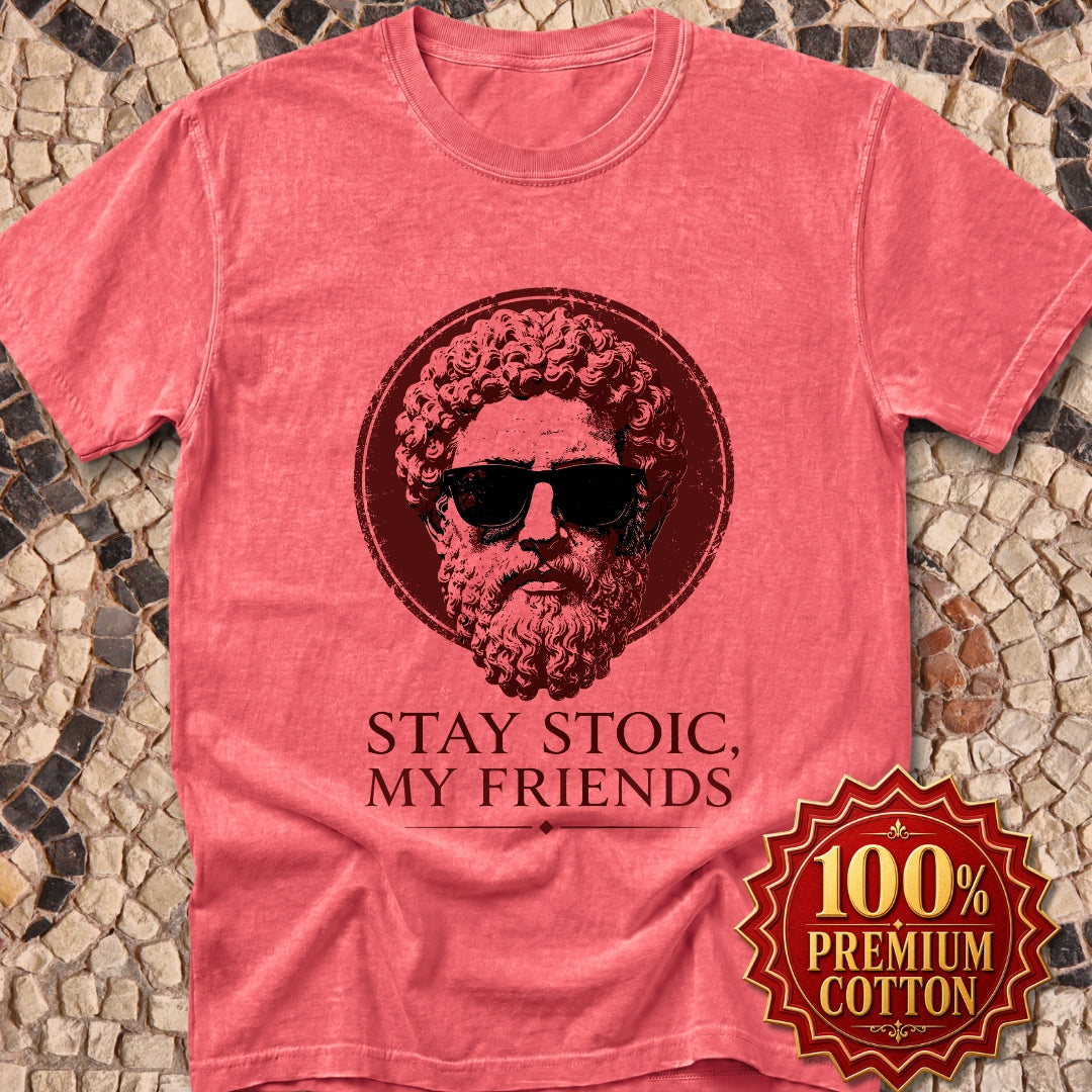 Aurelius Stay Stoic My Friends Premium Tee