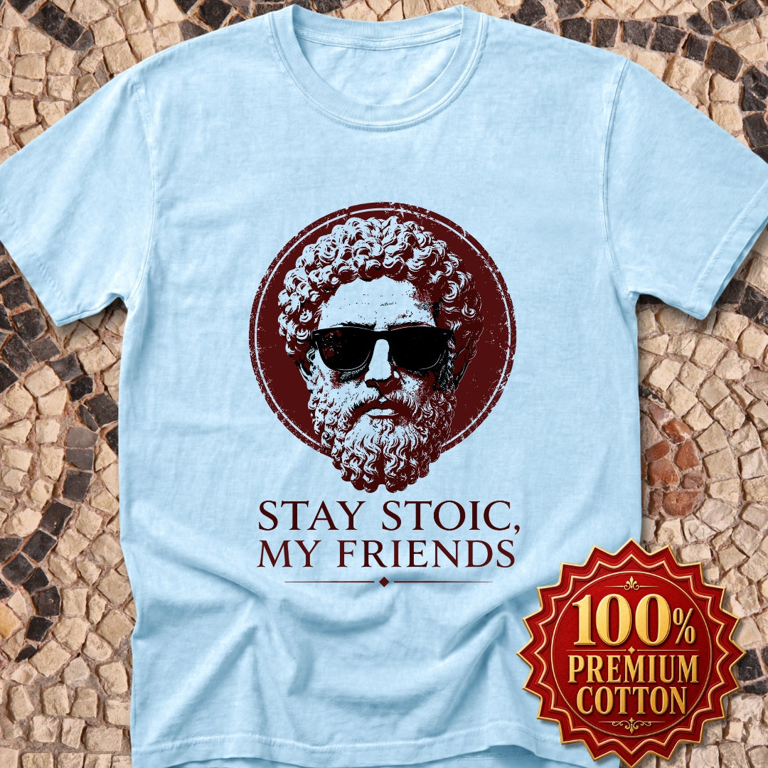 Aurelius Stay Stoic My Friends Premium Tee