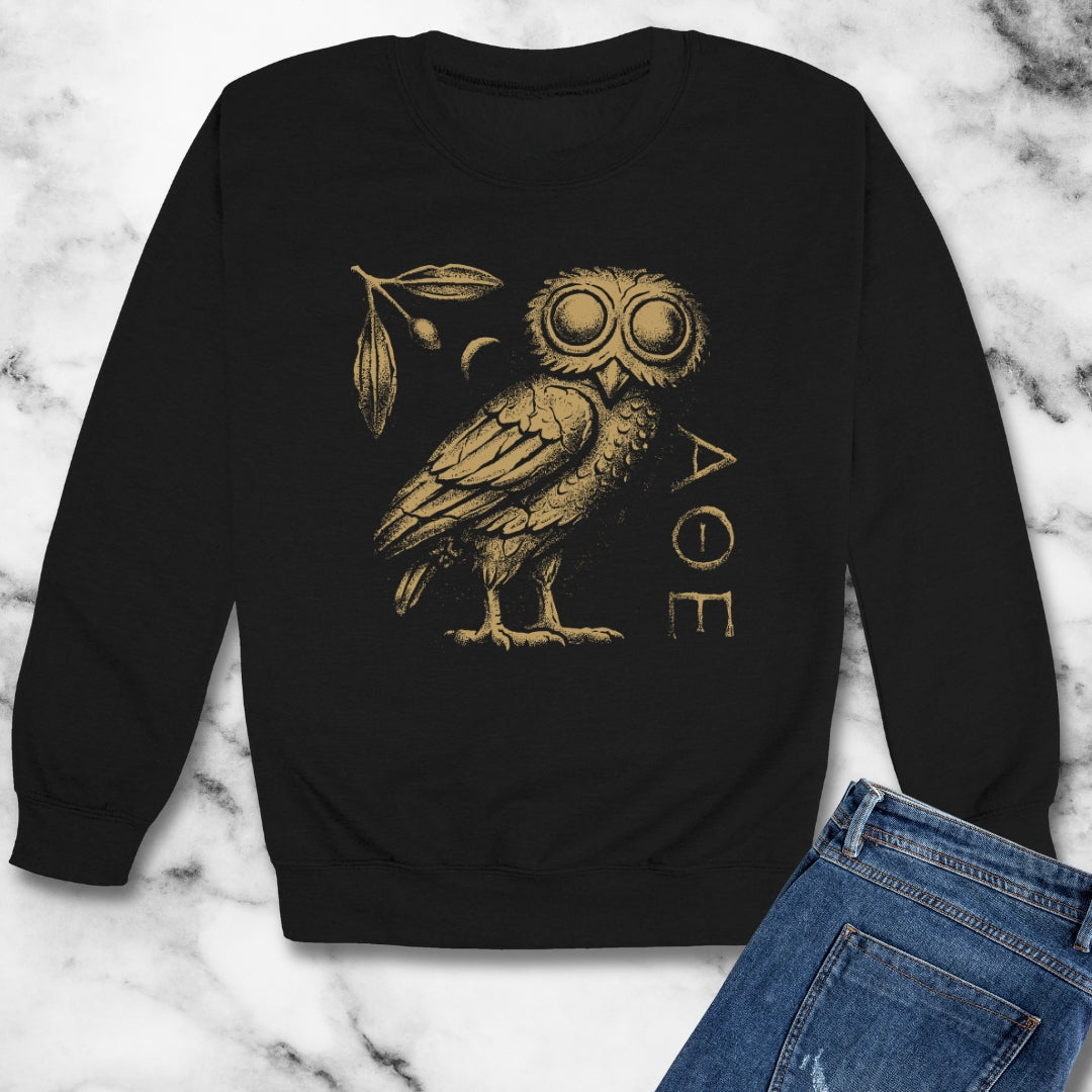Athens Owl Distressed Graphic Unisex Heavy Crewneck Sweatshirt