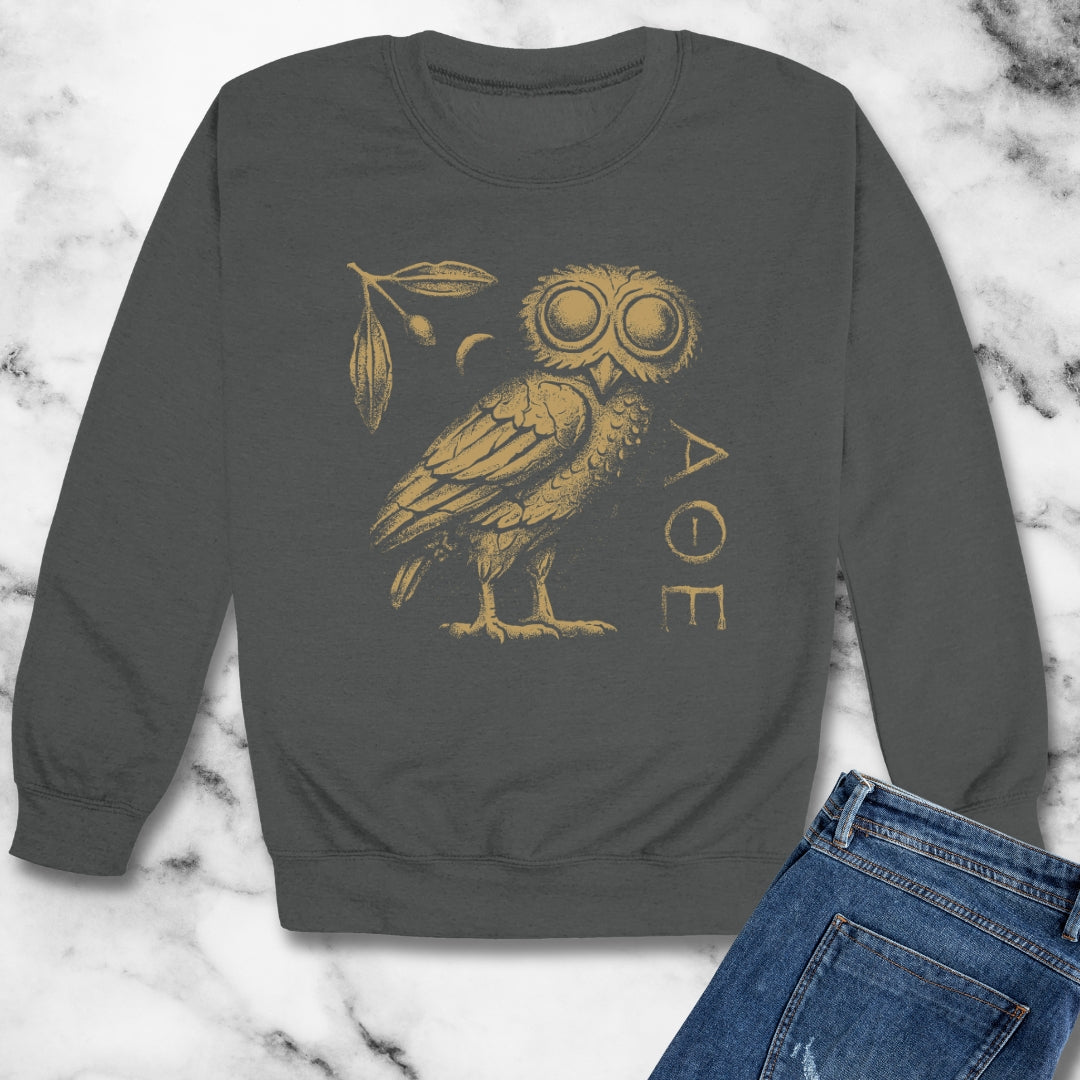 Athens Owl Distressed Graphic Unisex Heavy Crewneck Sweatshirt