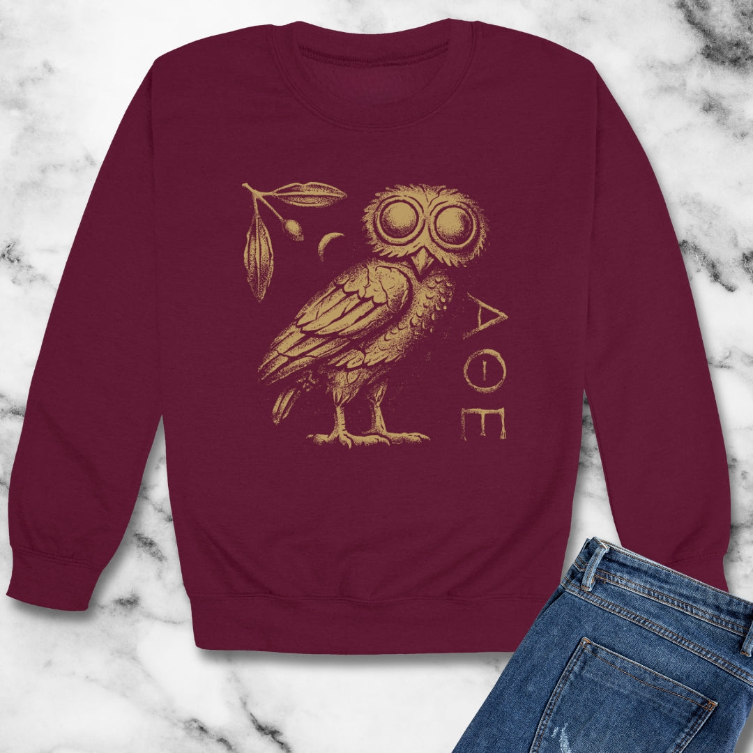 Athens Owl Distressed Graphic Unisex Heavy Crewneck Sweatshirt