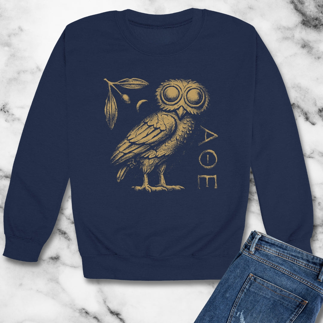 Athens Owl Distressed Graphic Unisex Heavy Crewneck Sweatshirt