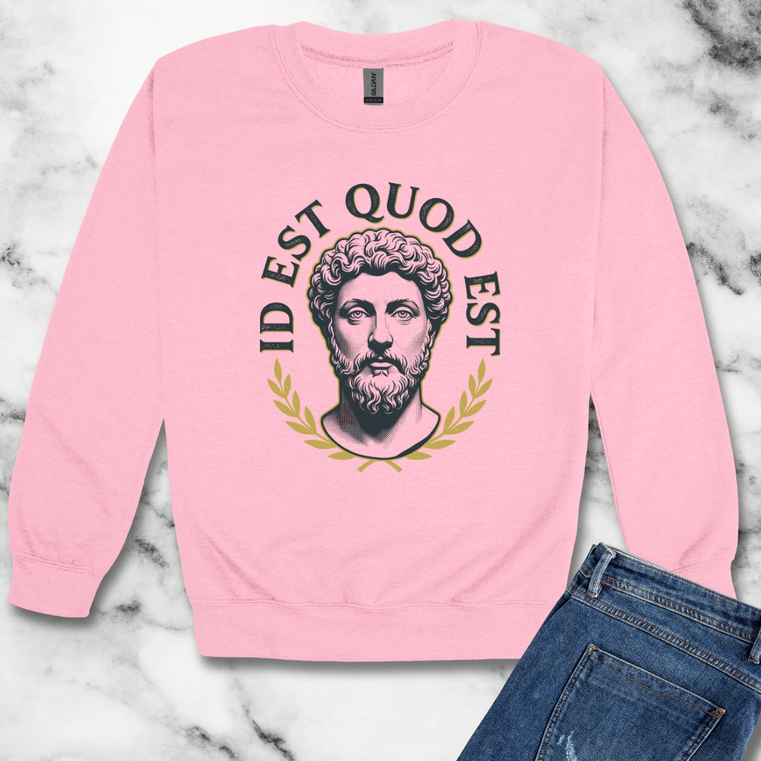 Aurelius It Is What It Is Latin Quote Unisex Heavy Crewneck Sweatshirt