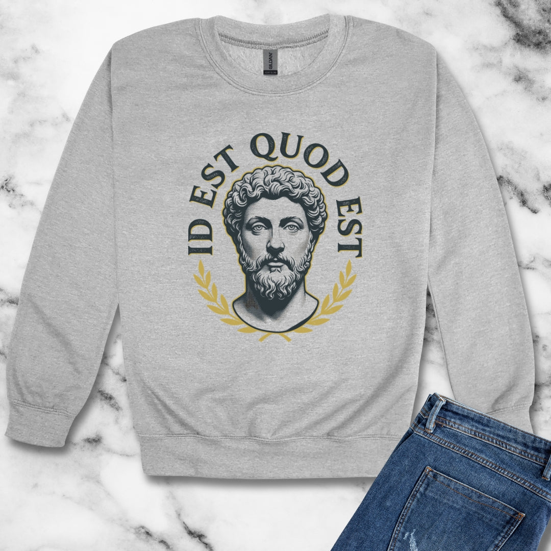 Aurelius It Is What It Is Latin Quote Unisex Heavy Crewneck Sweatshirt