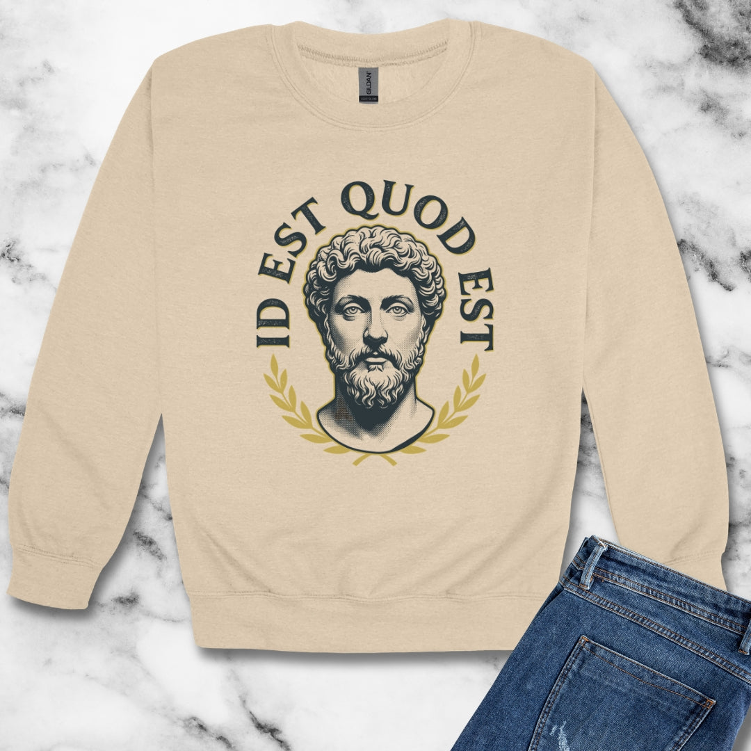 Aurelius It Is What It Is Latin Quote Unisex Heavy Crewneck Sweatshirt