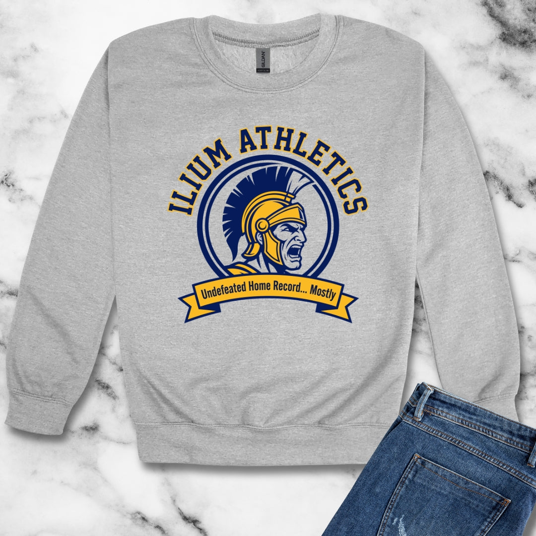 Ilium Athletics Troy Unisex Heavy Crewneck Sweatshirt