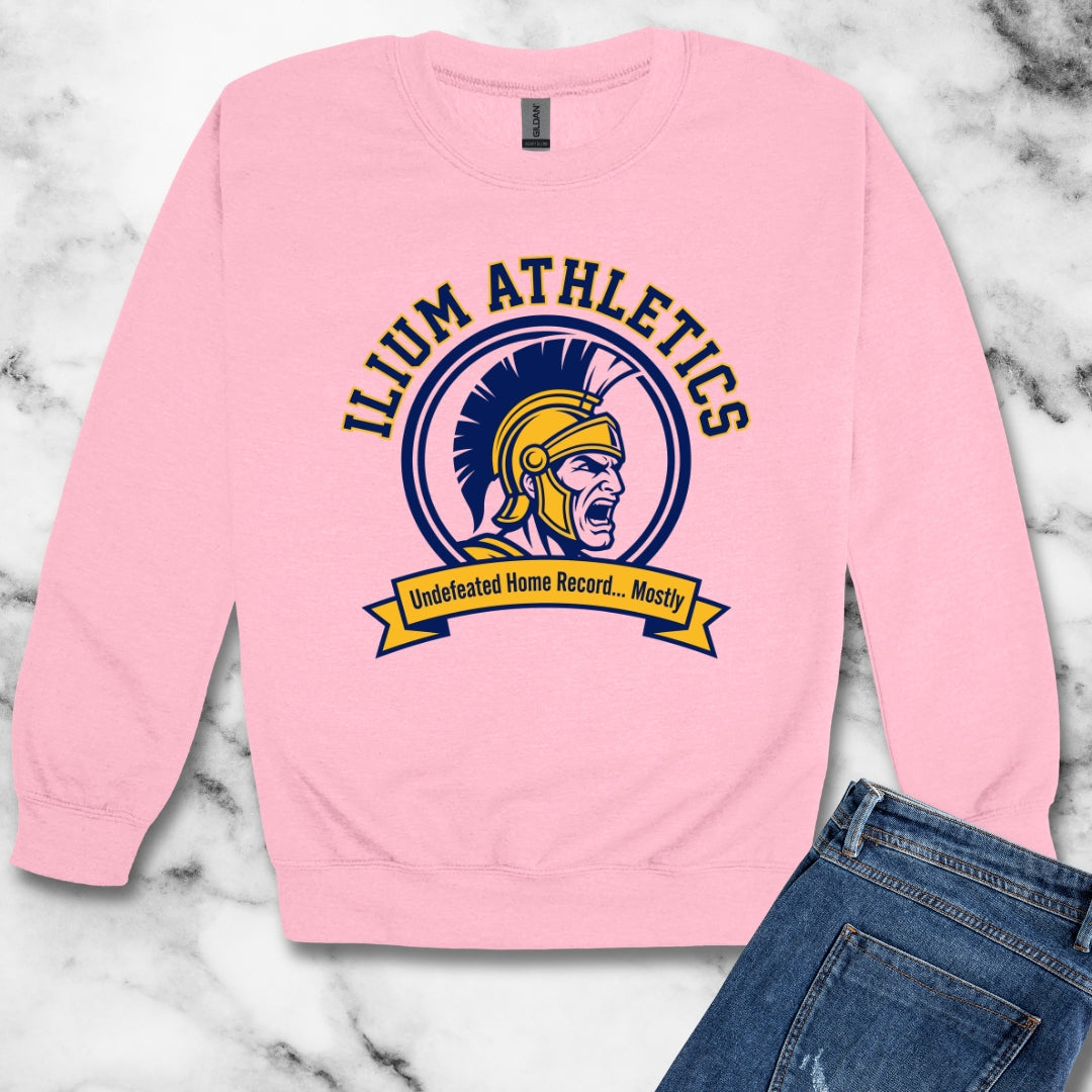 Ilium Athletics Troy Unisex Heavy Crewneck Sweatshirt
