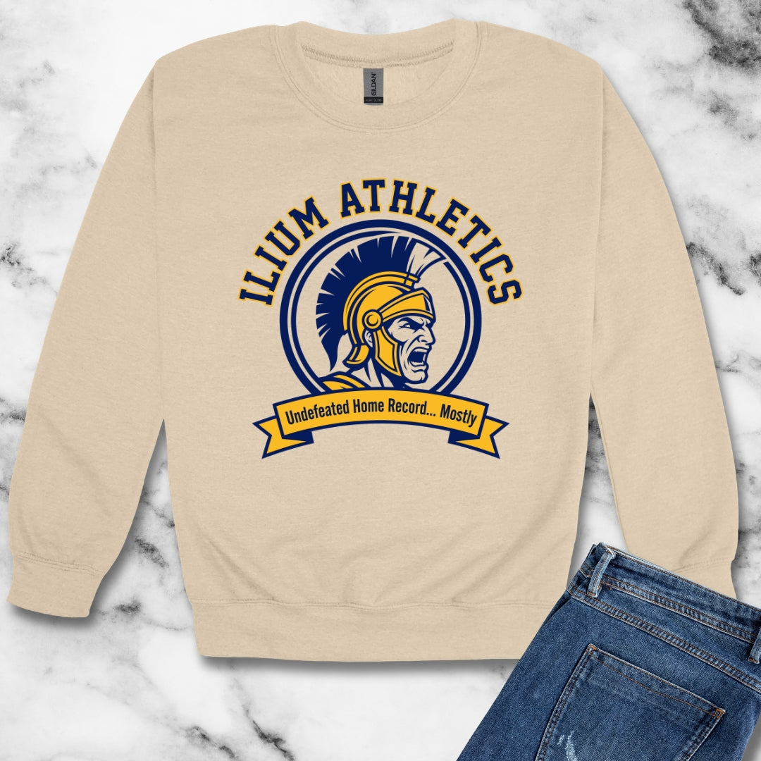 Ilium Athletics Troy Unisex Heavy Crewneck Sweatshirt