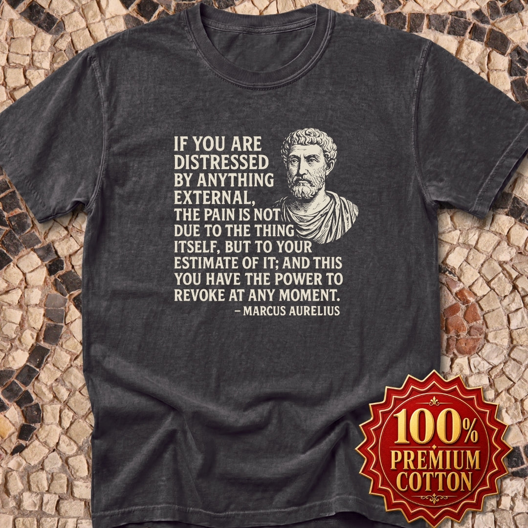 You Have the Power to Revoke Marcus Aurelius Stoic Quote Premium Tee