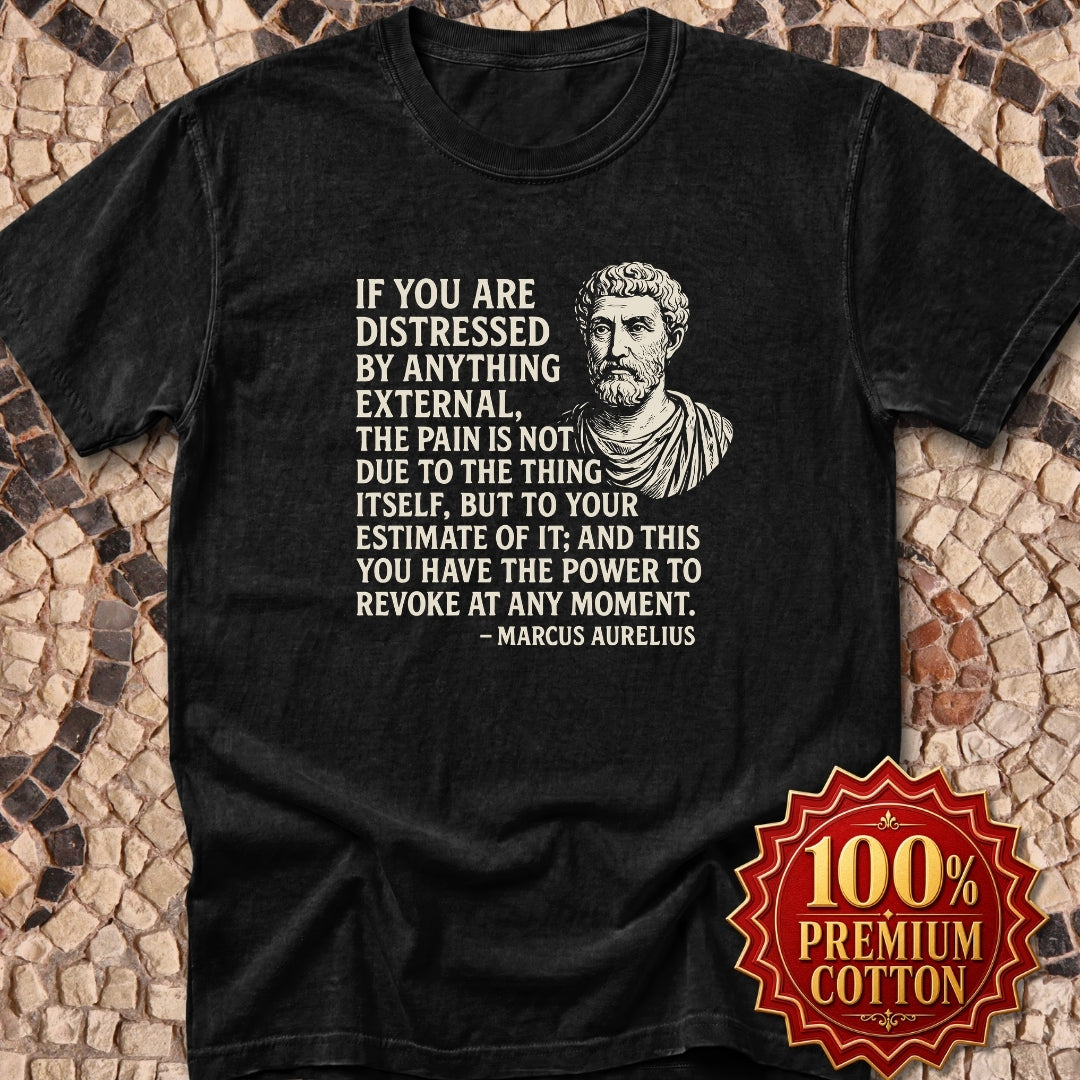 You Have the Power to Revoke Marcus Aurelius Stoic Quote Premium Tee