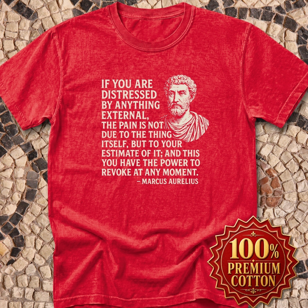 You Have the Power to Revoke Marcus Aurelius Stoic Quote Premium Tee