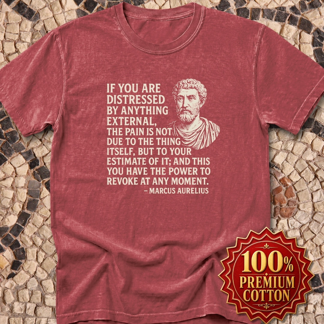You Have the Power to Revoke Marcus Aurelius Stoic Quote Premium Tee