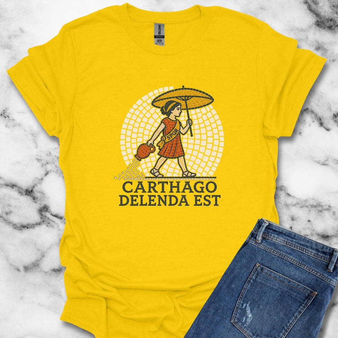 Carthago Delenda Est MosaicT-Shirt