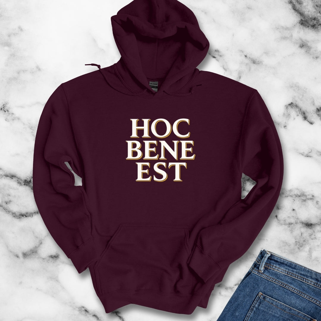 Hoc Bene Est This is Fine Latin Hoodie