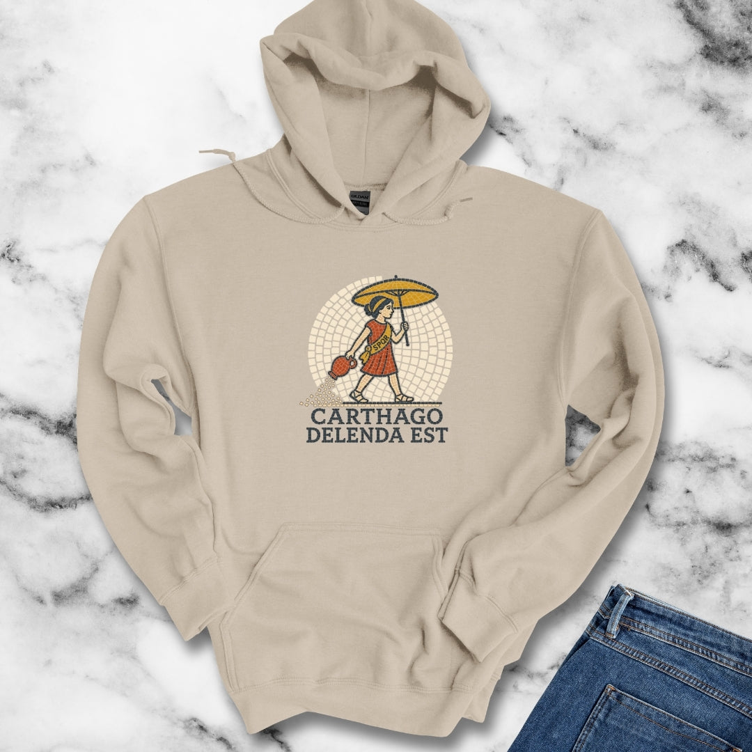 Carthago Delenda Est Mosaic Hoodie