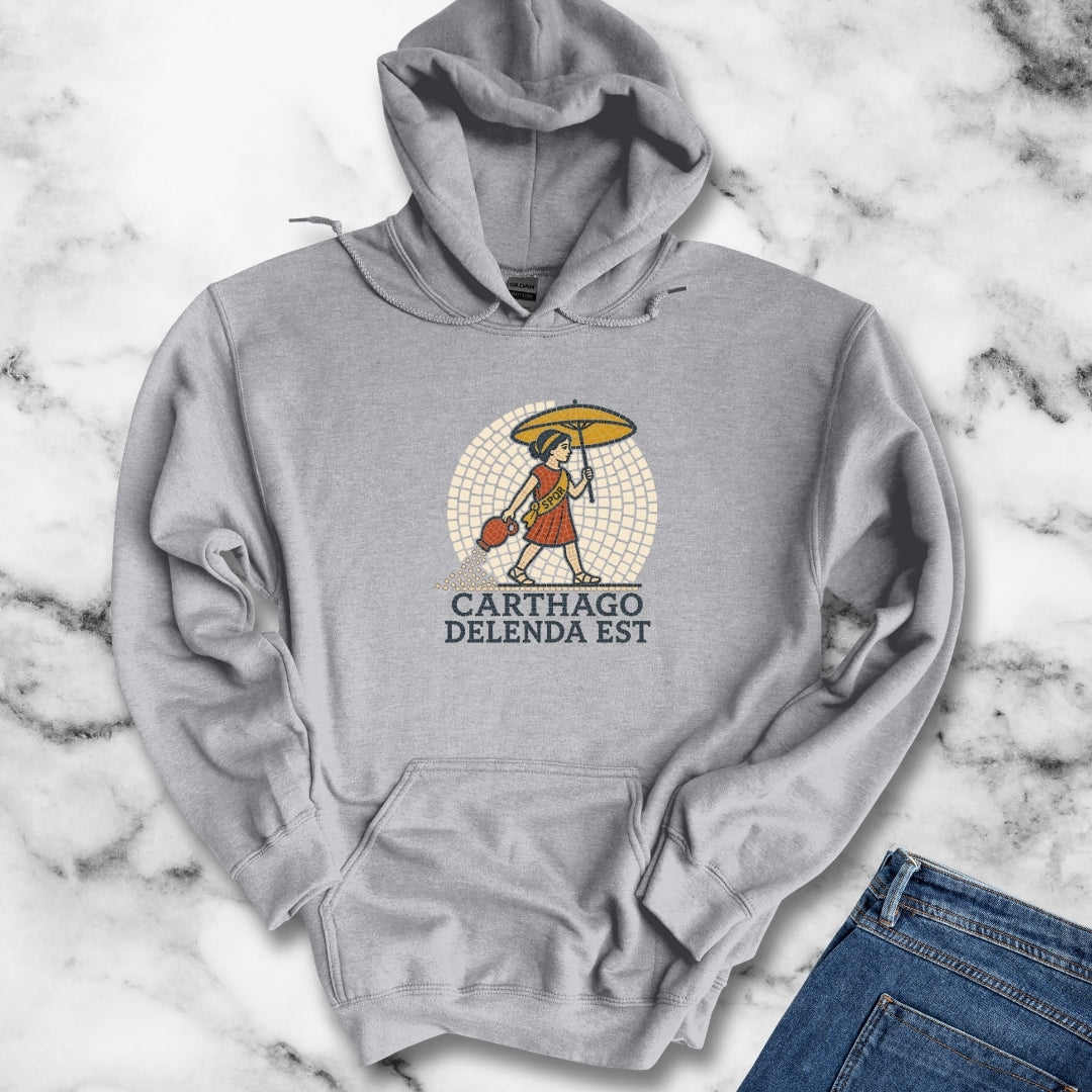 Carthago Delenda Est Mosaic Hoodie
