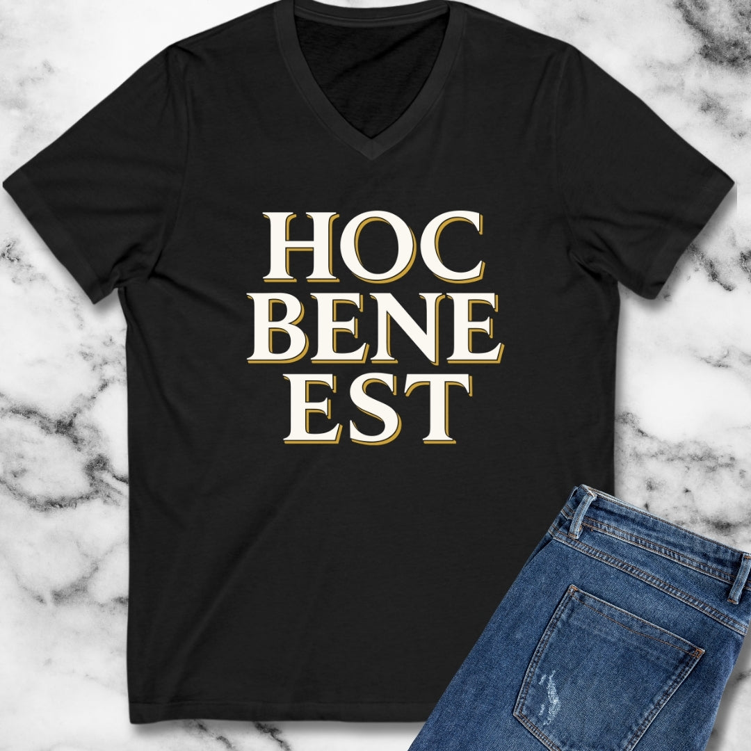 Hoc Bene Est This is Fine Latin V-Neck