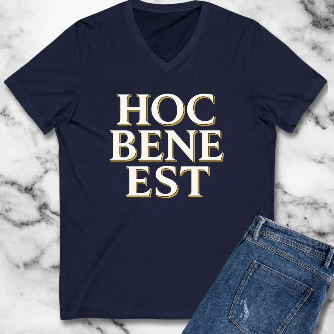 Hoc Bene Est This is Fine Latin V-Neck