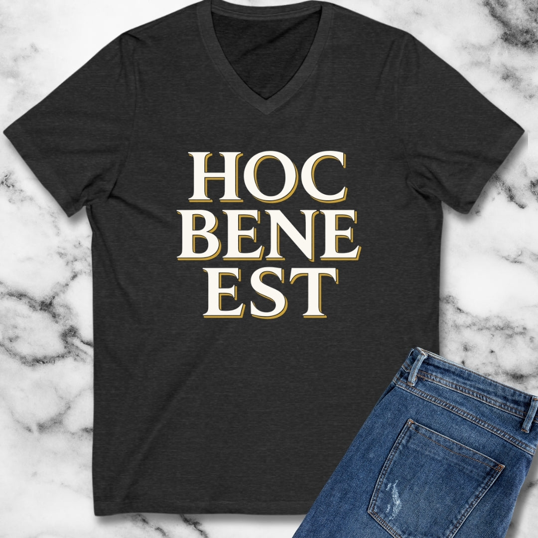 Hoc Bene Est This is Fine Latin V-Neck