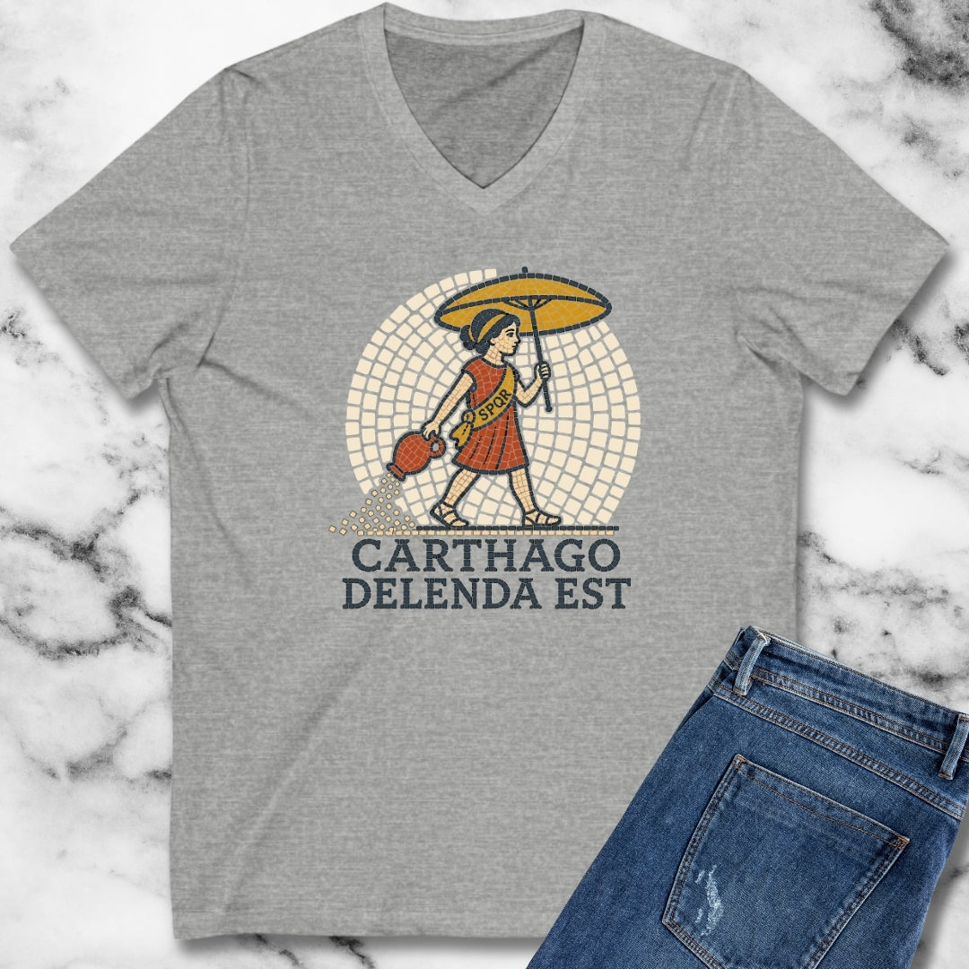 Carthago Delenda Est Mosaic V-neck