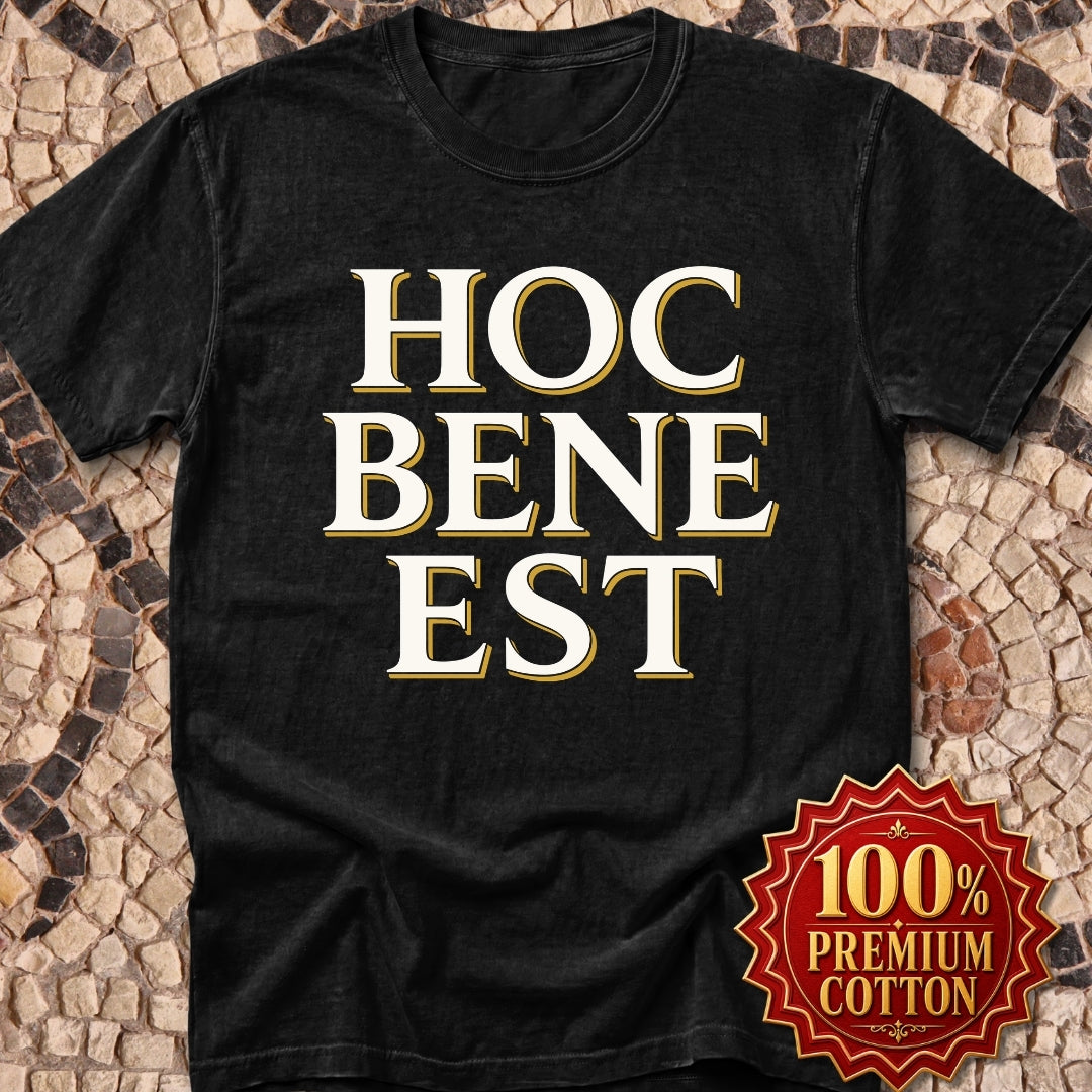 Hoc Bene Est This is Fine Latin Premium Tee