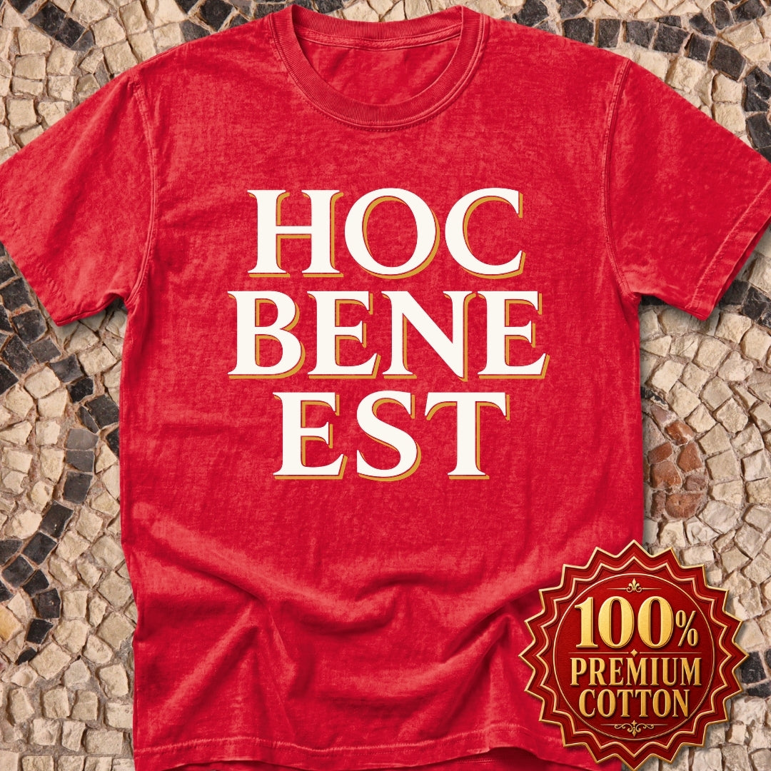 Hoc Bene Est This is Fine Latin Premium Tee