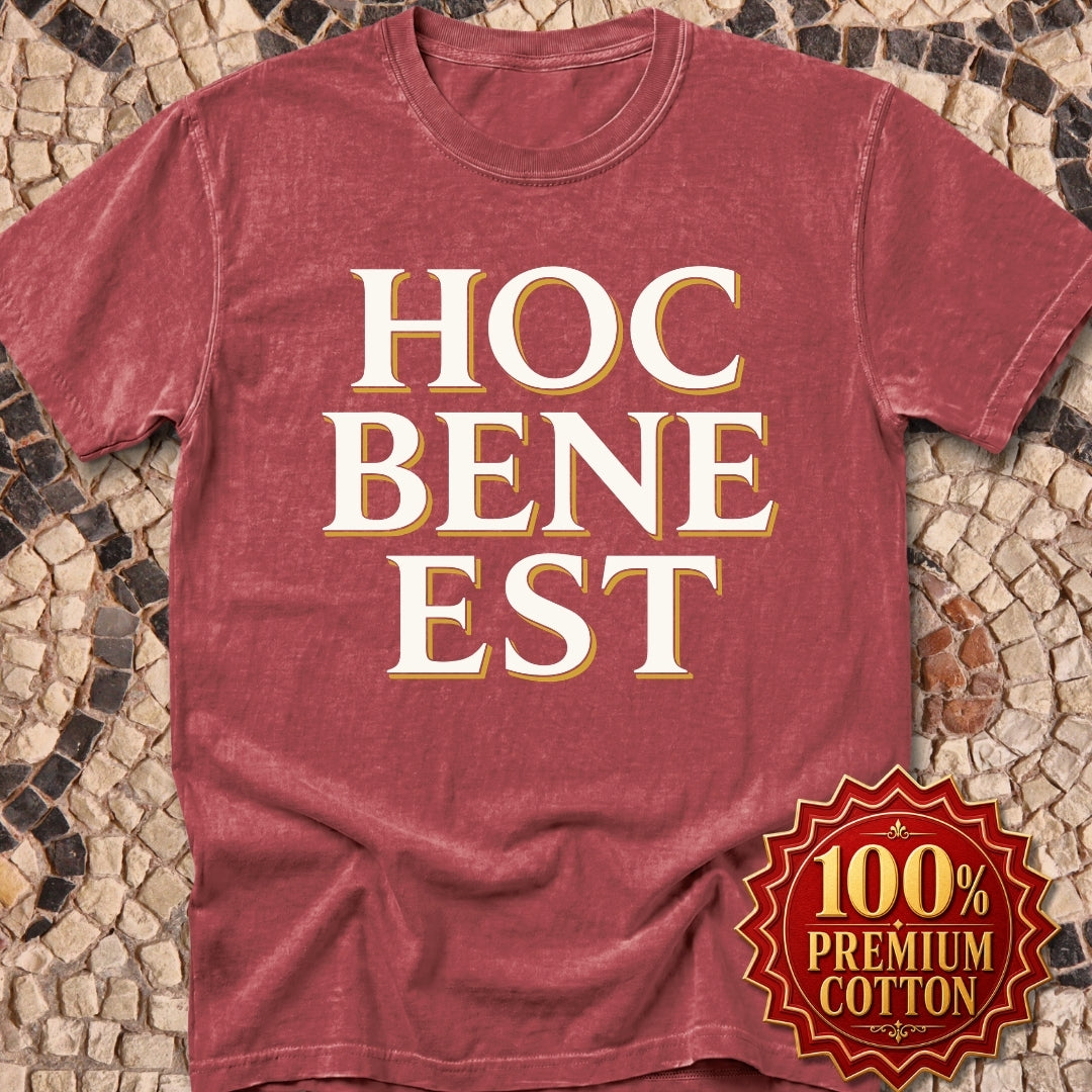 Hoc Bene Est This is Fine Latin Premium Tee
