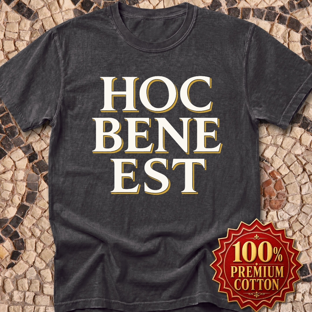 Hoc Bene Est This is Fine Latin Premium Tee