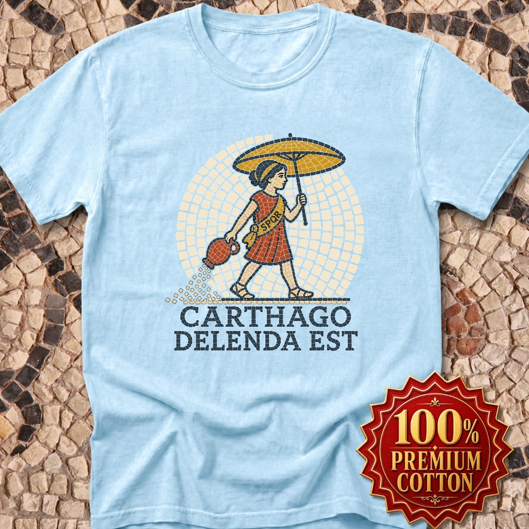 Carthago Delenda Est Mosaic Premium Tee