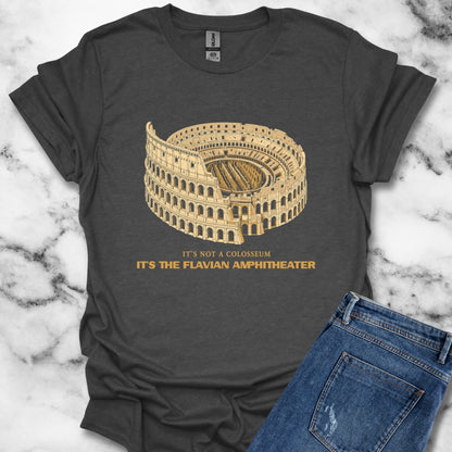 Not Colosseum Flavian Amphitheater T-Shirt