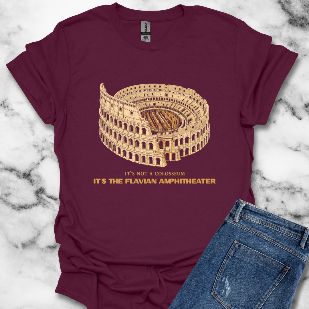 Not Colosseum Flavian Amphitheater T-Shirt