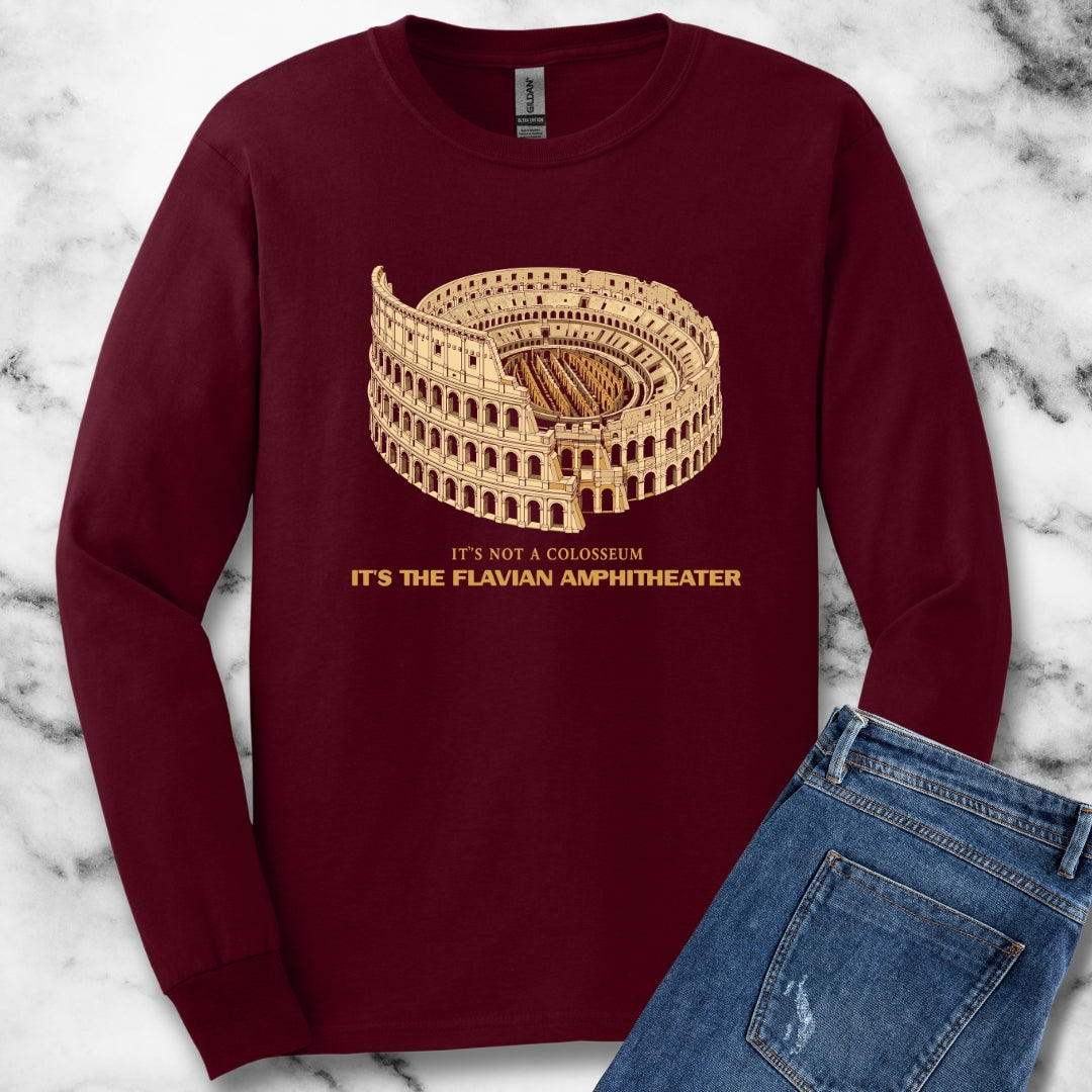 Not Colosseum Flavian Amphitheater Unisex Long Sleeve Tee