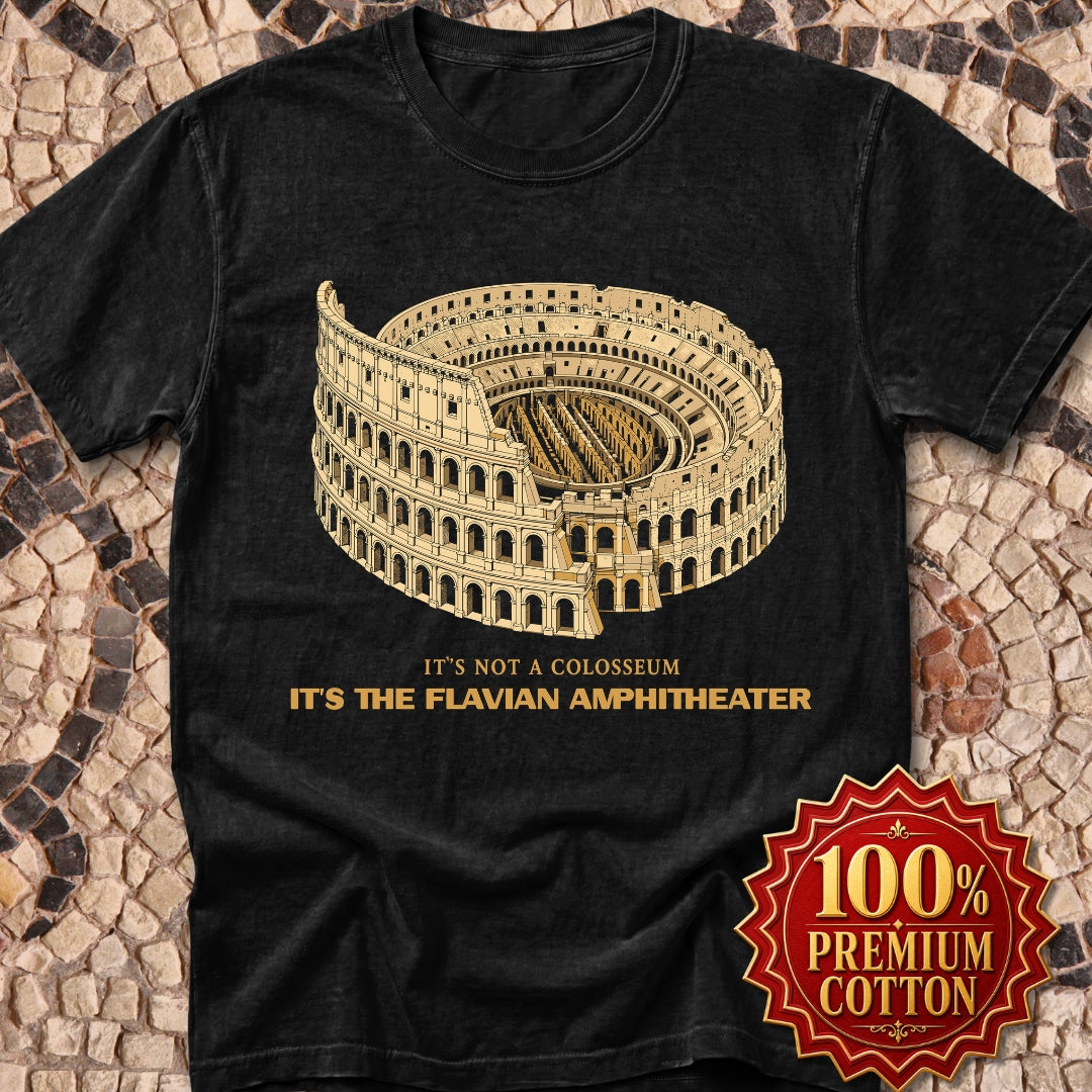 Not Colosseum Flavian Amphitheater Premium Tee