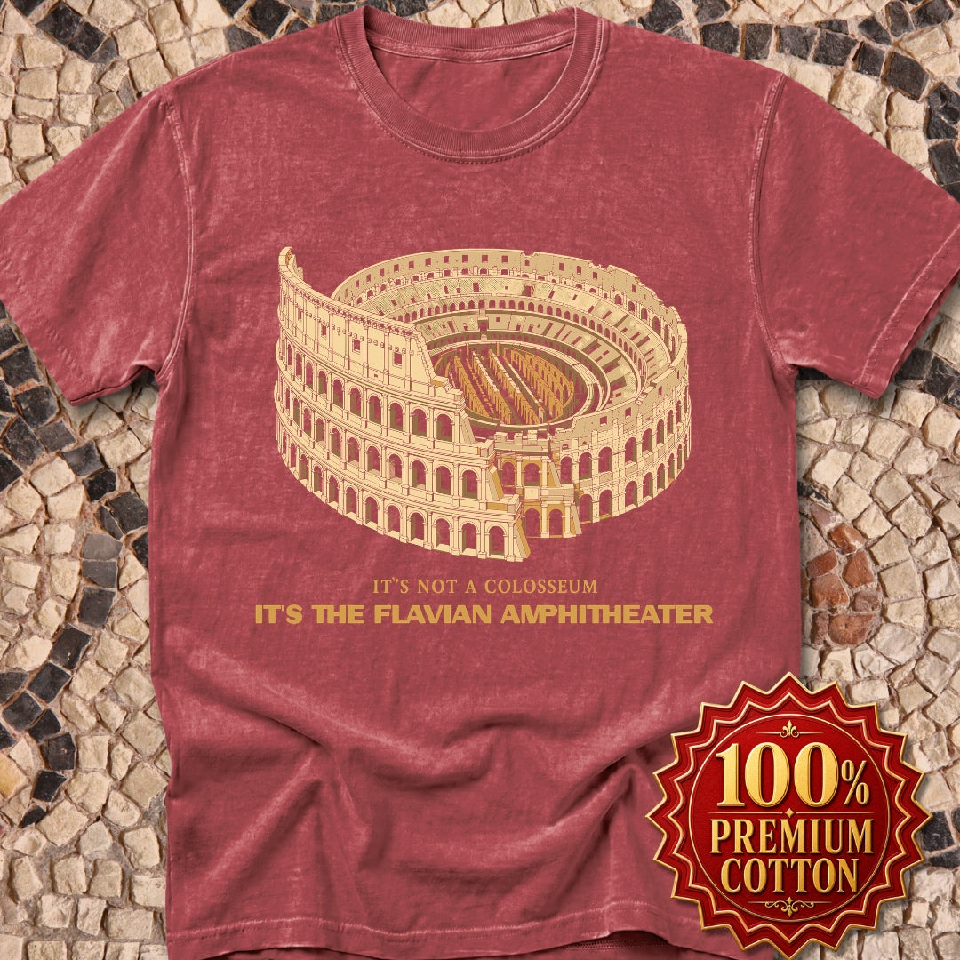 Not Colosseum Flavian Amphitheater Premium Tee