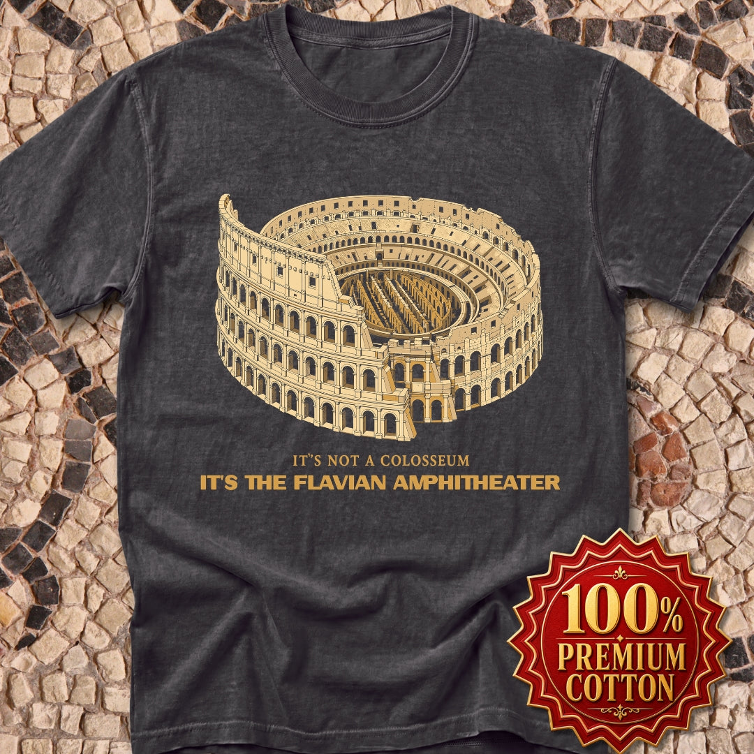 Not Colosseum Flavian Amphitheater Premium Tee
