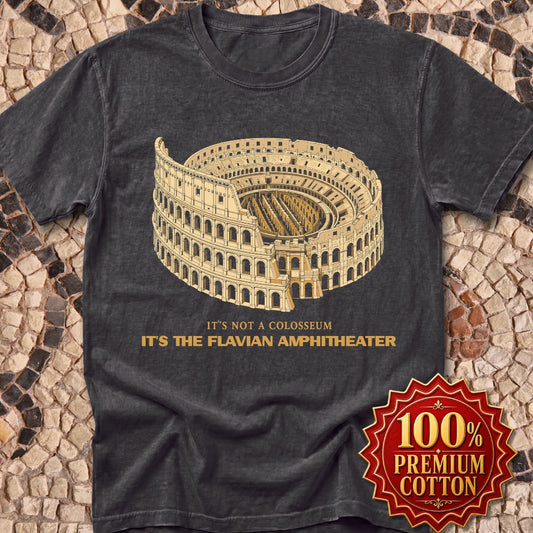 Not Colosseum Flavian Amphitheater Premium Tee