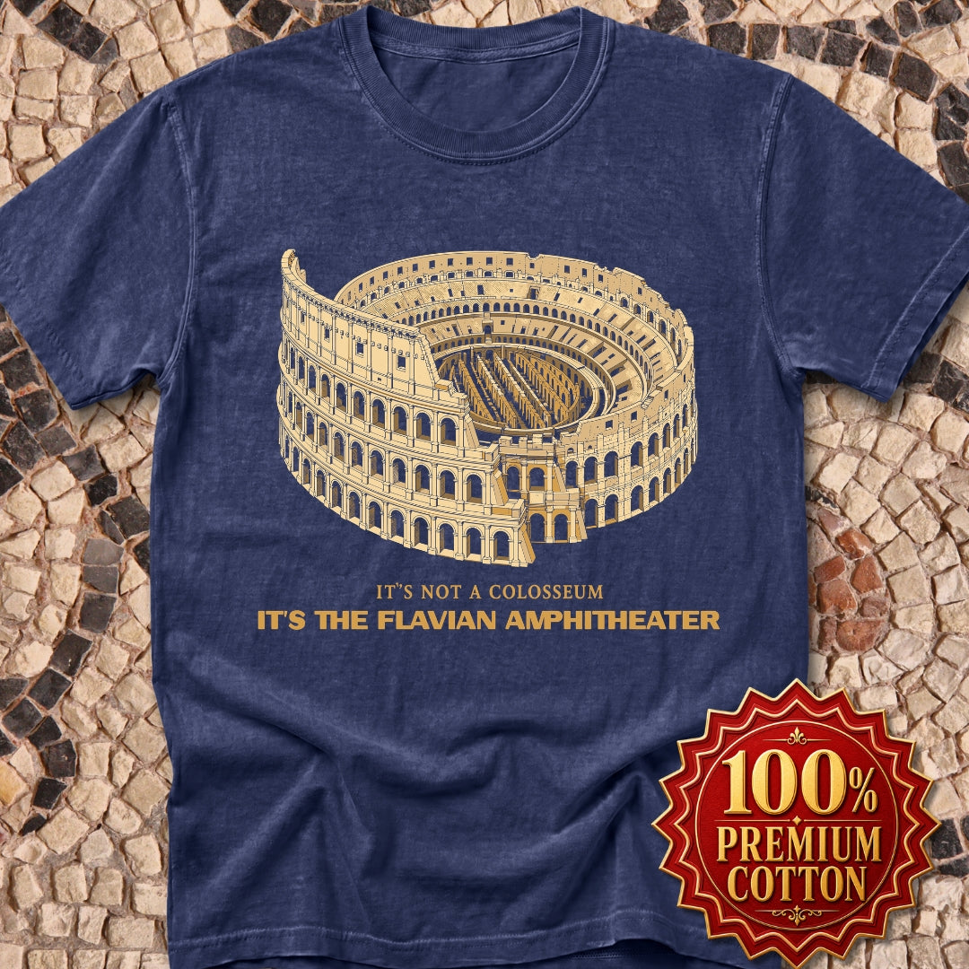 Not Colosseum Flavian Amphitheater Premium Tee