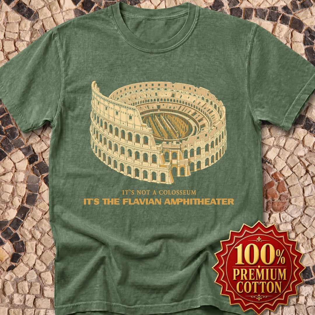 Not Colosseum Flavian Amphitheater Premium Tee