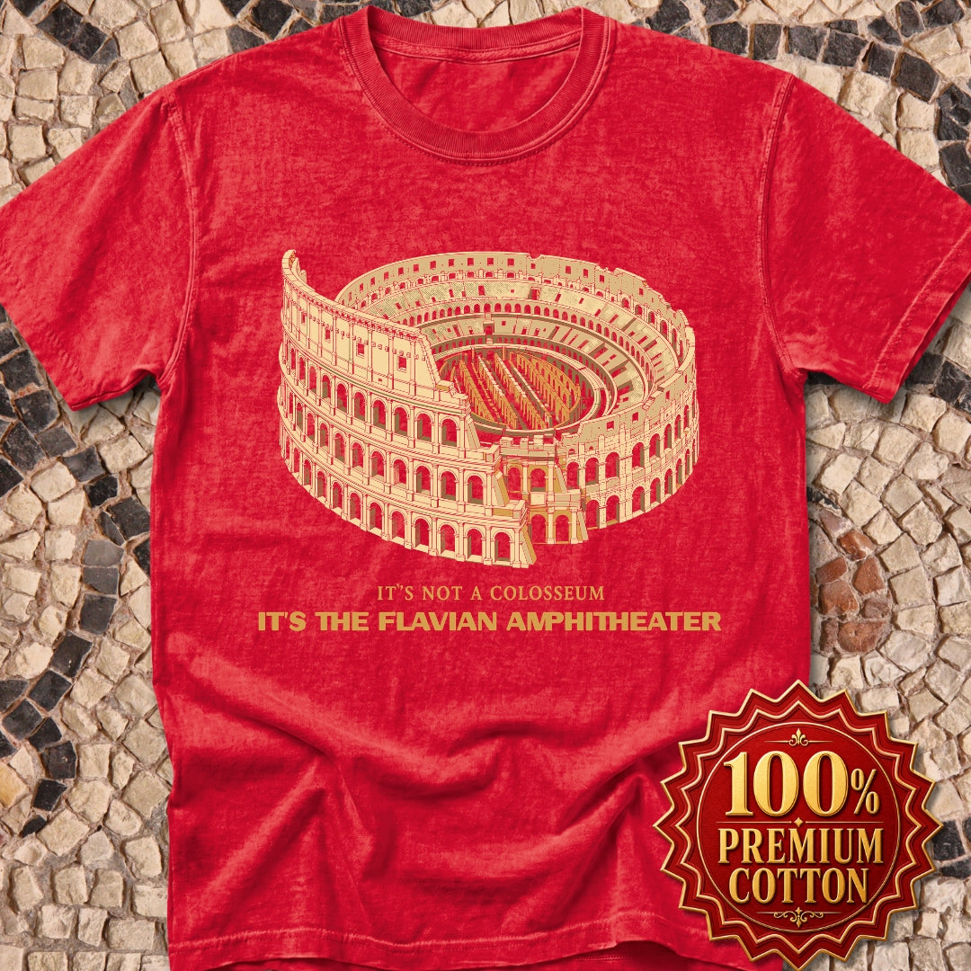 Not Colosseum Flavian Amphitheater Premium Tee