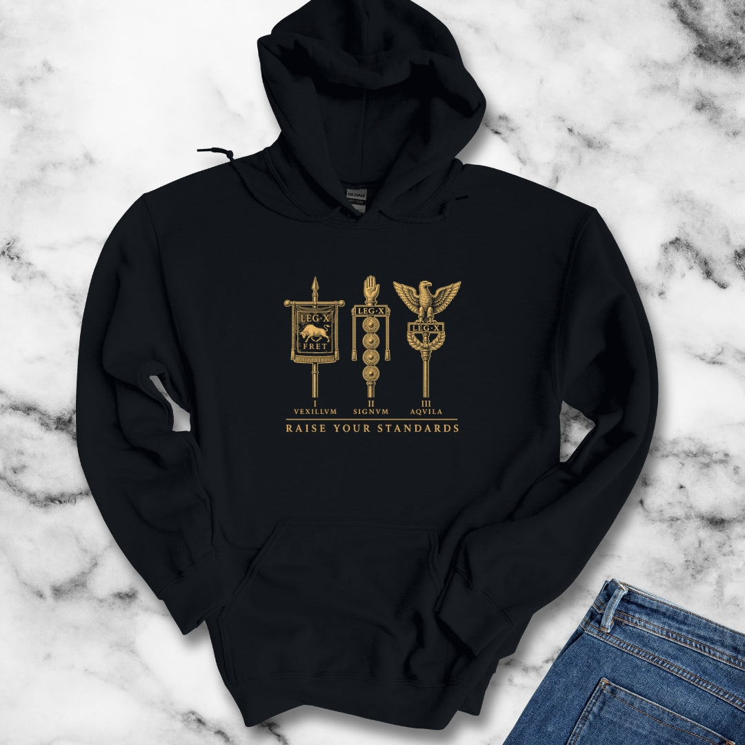 Raise Your Roman Standards Hoodie