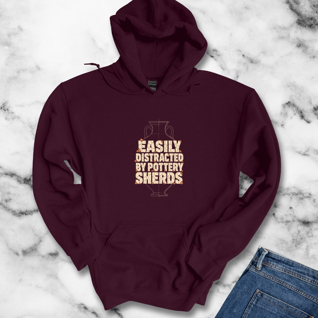Distracted by Pottery Sherds Hoodie