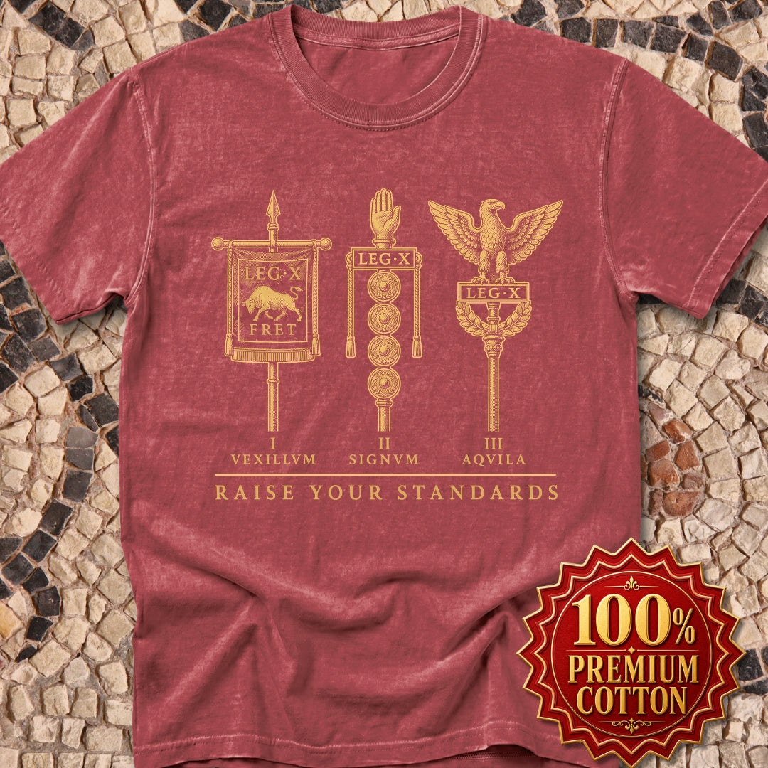 Raise Your Roman Standards Premium Tee