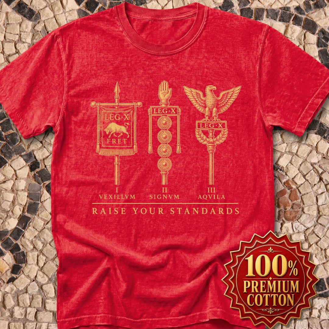 Raise Your Roman Standards Premium Tee