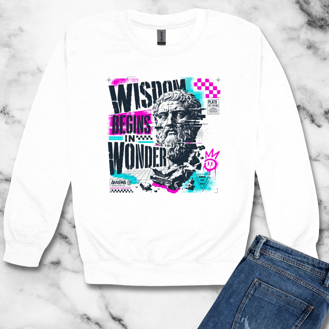 Plato Wisdom Begins in Wonder Unisex Heavy Crewneck Sweatshirt